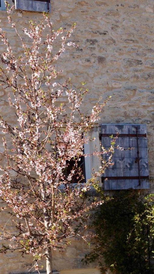 Ferme Oleicole Les Callis Gordes Exteriör bild